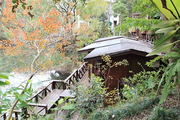 IMG_0446.JPG IMG_0446.JPG