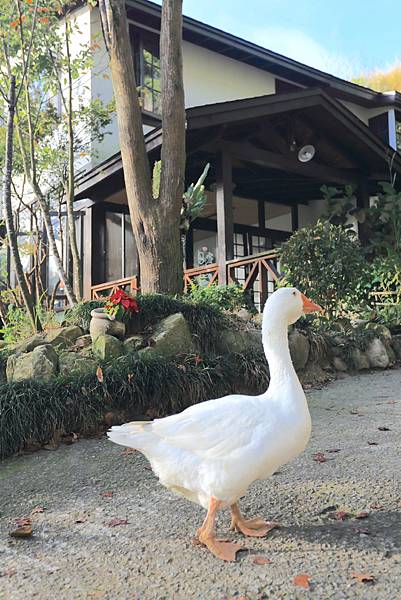 IMG_0559.JPG IMG_0559.JPG