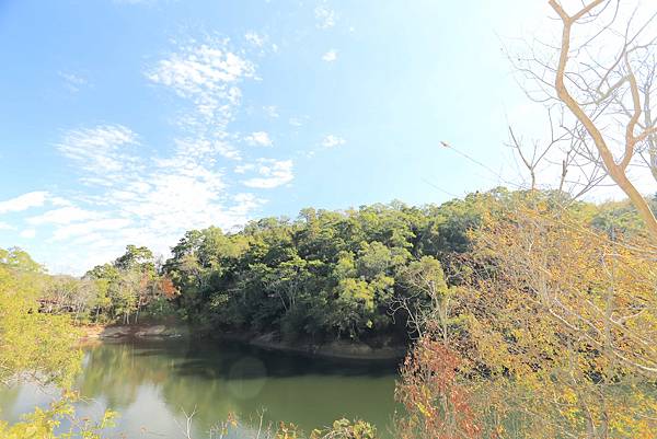 IMG_0565.JPG IMG_0565.JPG