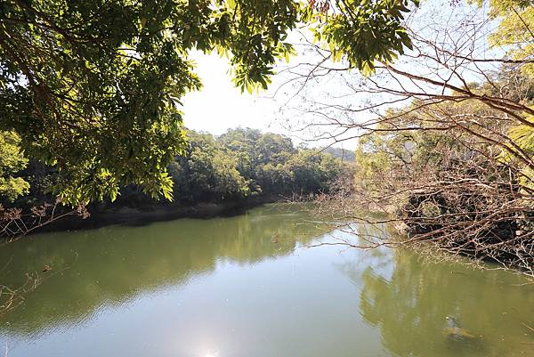 IMG_0568.JPG IMG_0568.JPG