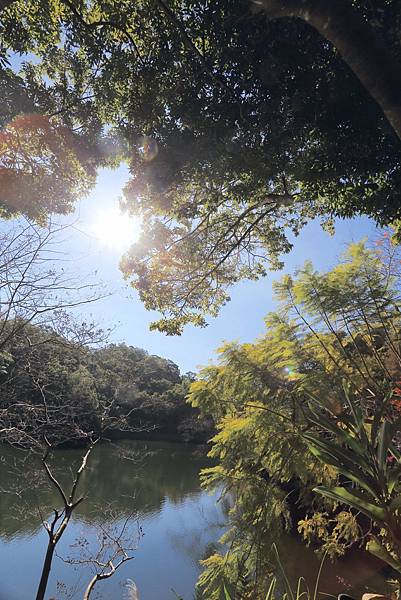 IMG_0569.JPG IMG_0569.JPG