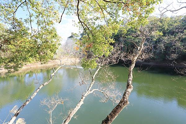 IMG_0575.JPG IMG_0575.JPG