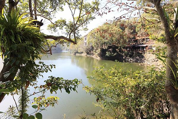 IMG_0584.JPG IMG_0584.JPG