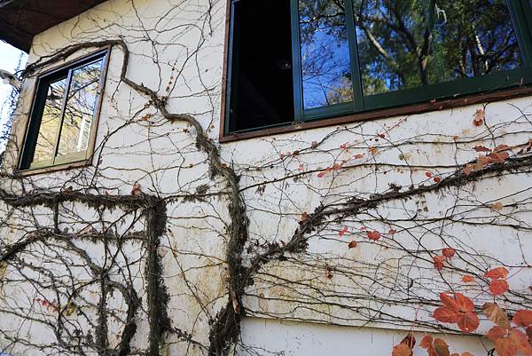 IMG_0589.JPG IMG_0589.JPG