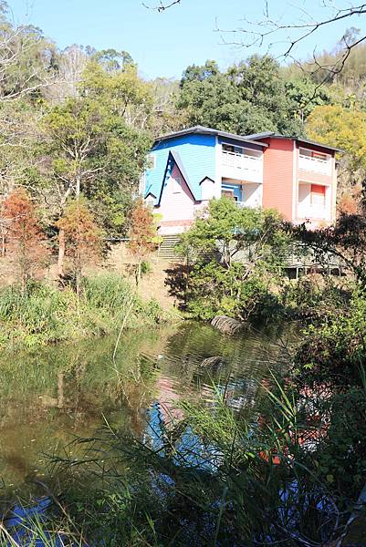 IMG_0595.JPG IMG_0595.JPG