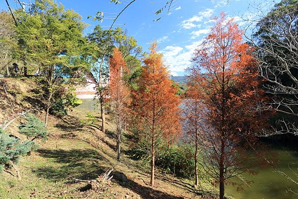 IMG_0599.JPG IMG_0599.JPG