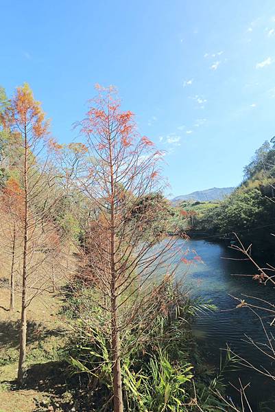 IMG_0602.JPG IMG_0602.JPG