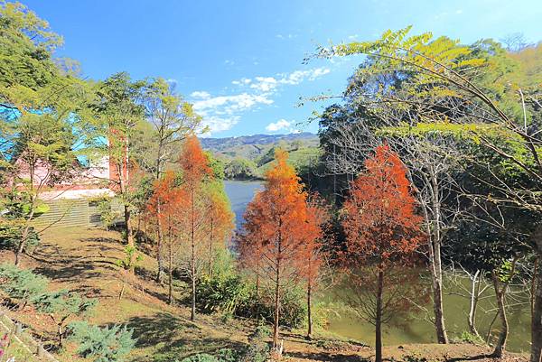 IMG_0604.JPG IMG_0604.JPG