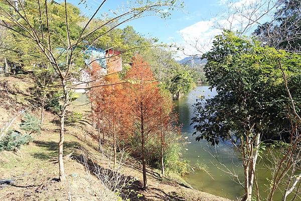 IMG_0601.JPG IMG_0601.JPG