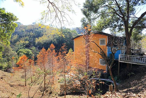 IMG_0607.JPG IMG_0607.JPG