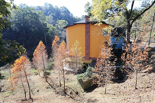 IMG_0608.JPG IMG_0608.JPG