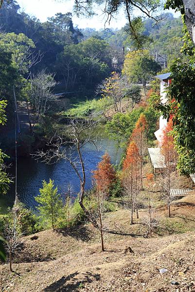 IMG_0616.JPG IMG_0616.JPG