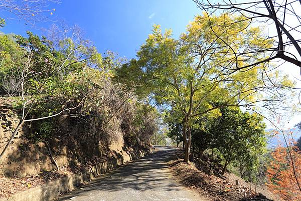 IMG_0615.JPG IMG_0615.JPG