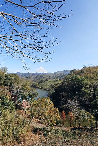 IMG_0627.JPG IMG_0627.JPG