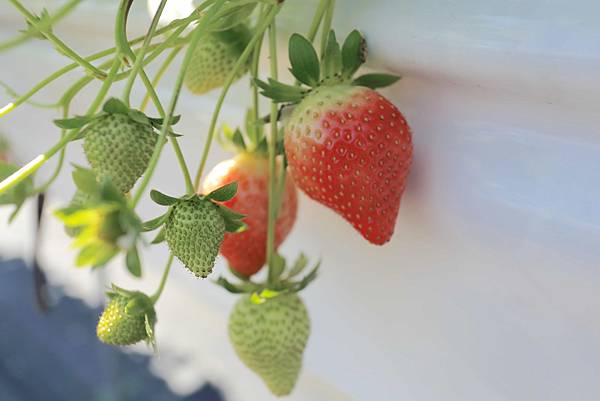 IMG_0644.JPG IMG_0644.JPG