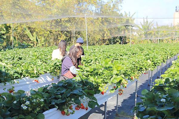 IMG_0641.JPG IMG_0641.JPG