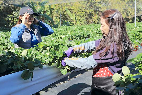 IMG_0646.JPG IMG_0646.JPG