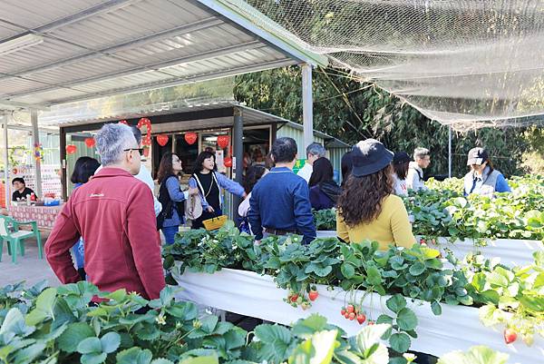 IMG_0652.JPG IMG_0652.JPG