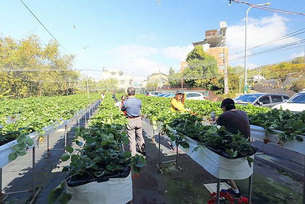 IMG_0654.JPG IMG_0654.JPG