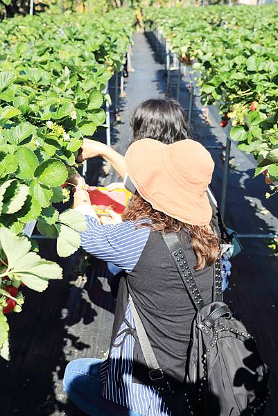 IMG_0657.JPG IMG_0657.JPG