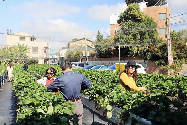 IMG_0655.JPG IMG_0655.JPG