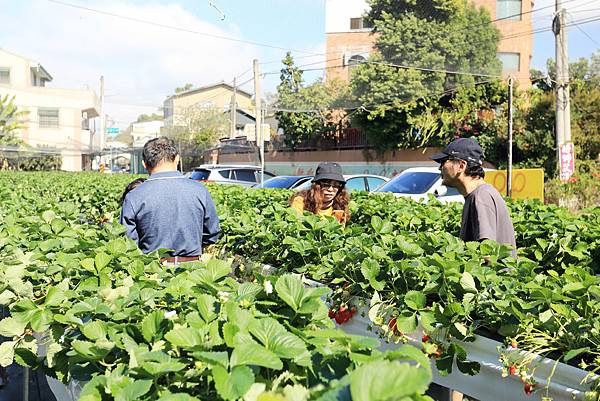 IMG_0658.JPG IMG_0658.JPG