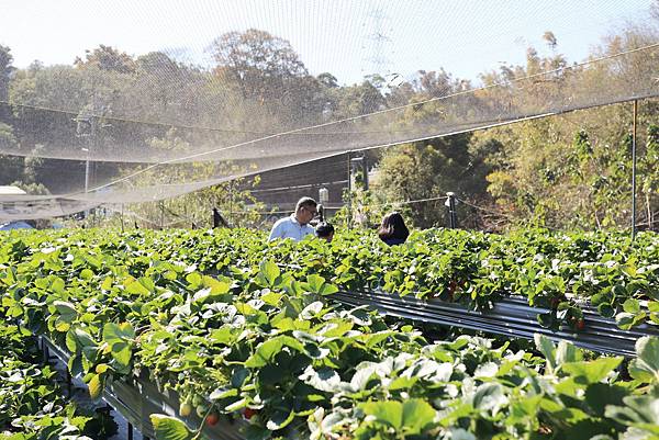 IMG_0662.JPG IMG_0662.JPG