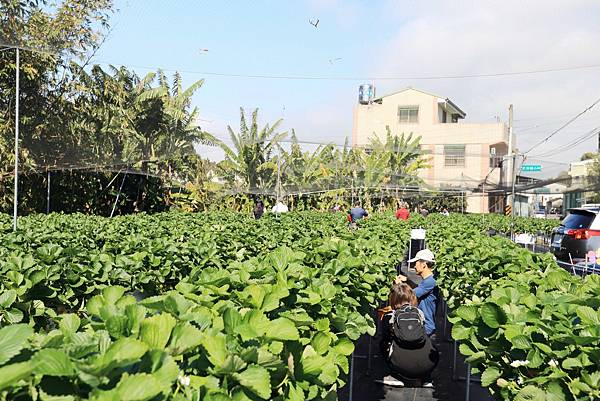 IMG_0667.JPG IMG_0667.JPG