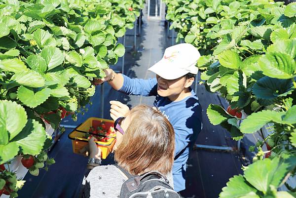 IMG_0668.JPG IMG_0668.JPG