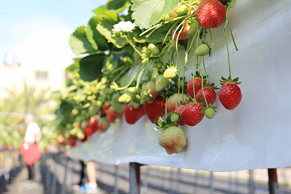 IMG_0673.JPG IMG_0673.JPG