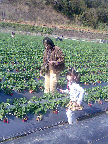 影像080.jpg
