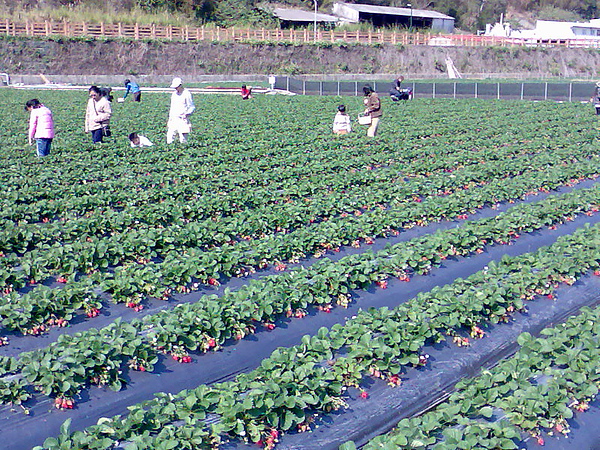 影像084.jpg