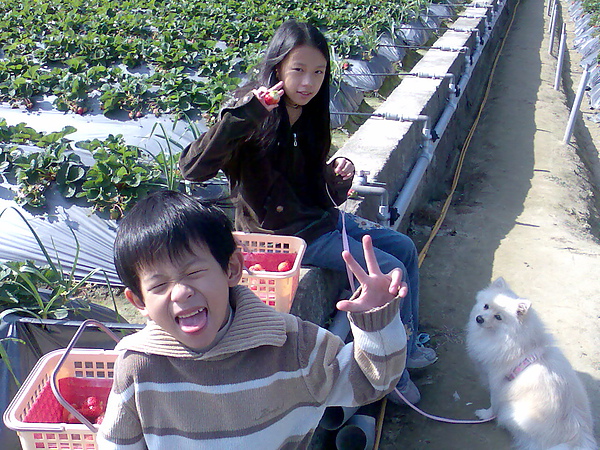 影像081.jpg