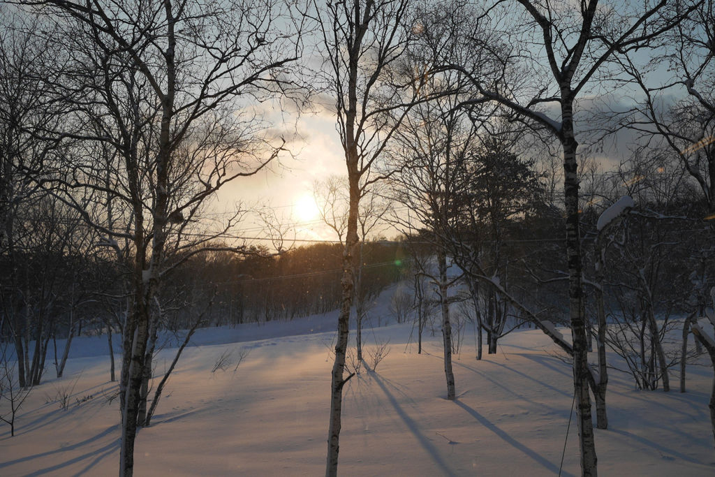 P1240421.jpg P1240421.jpg