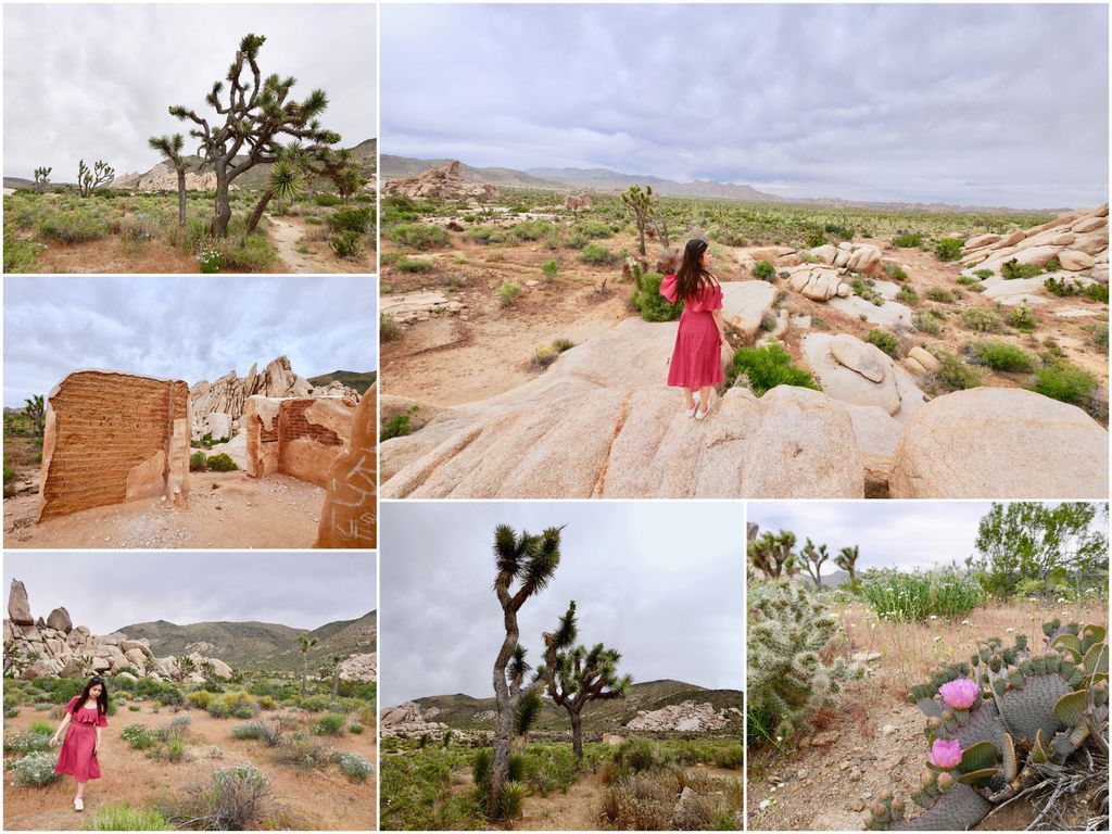 Joshua Tree National Park.jpg