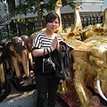 IMG_0074.JPG