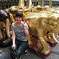 IMG_0072.JPG
