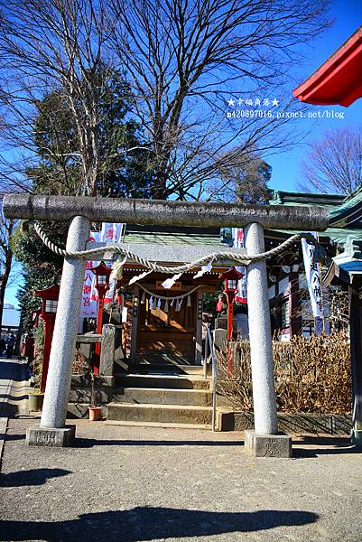 〔2023日本東京自由行8日遊〕川越一日遊//八幡宮//小川