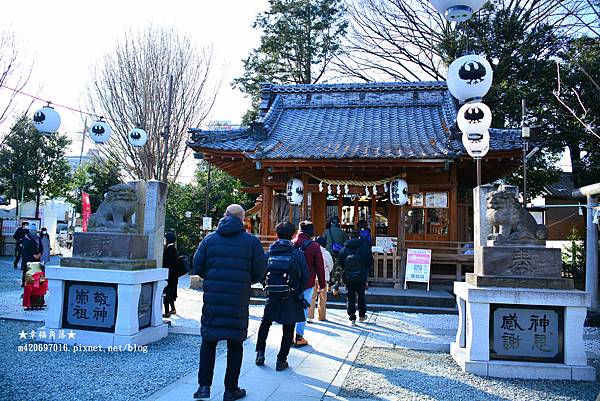 〔2023日本東京自由行8日遊〕川越一日遊//冰川神社//熊