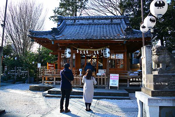 〔2023日本東京自由行8日遊〕川越一日遊//冰川神社//熊