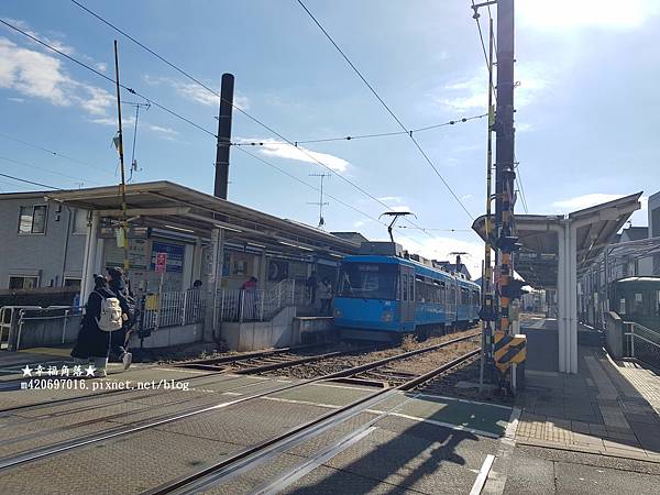 〔2023日本東京自由行8日遊〕豪德寺