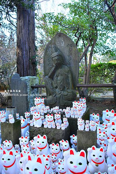 〔2023日本東京自由行8日遊〕豪德寺