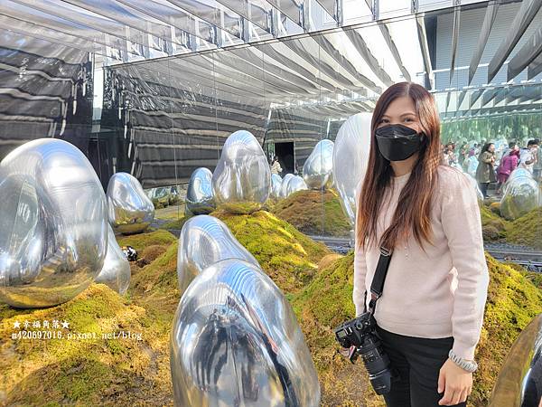 〔2023日本東京自由行8日遊〕teamLab Planet