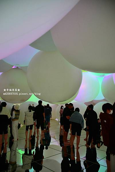 〔2023日本東京自由行8日遊〕teamLab Planet