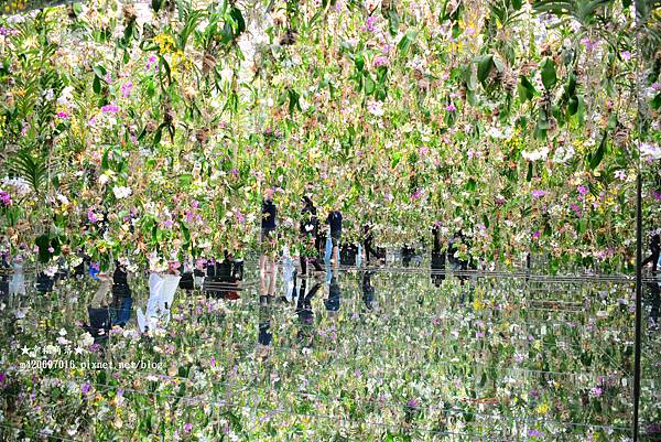 〔2023日本東京自由行8日遊〕teamLab Planet