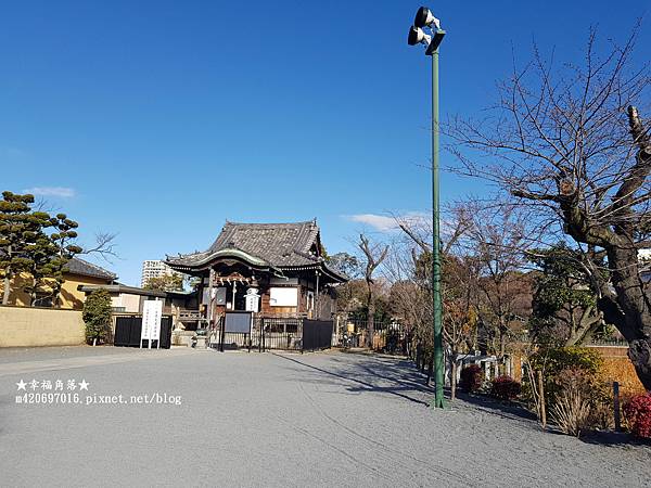 〔2023日本東京自由行8日遊〕上野恩賜公園//不忍池辯天堂