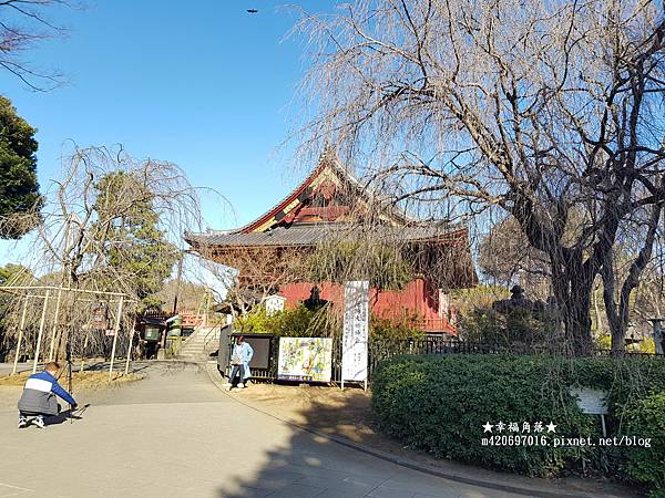 〔2023日本東京自由行8日遊〕上野恩賜公園//不忍池辯天堂