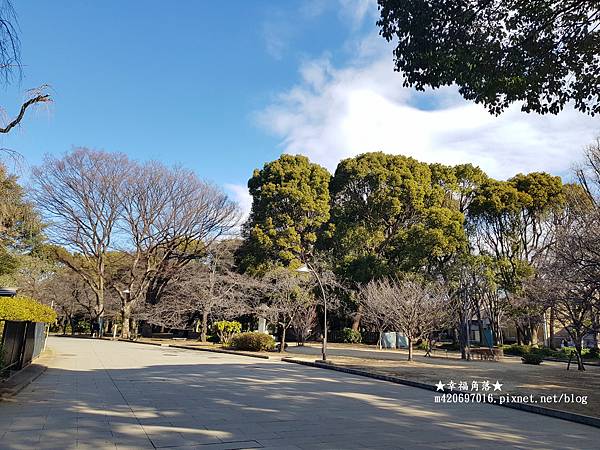 〔2023日本東京自由行8日遊〕上野恩賜公園//不忍池辯天堂