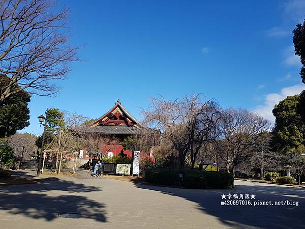 〔2023日本東京自由行8日遊〕上野恩賜公園//不忍池辯天堂