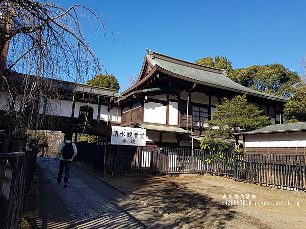 〔2023日本東京自由行8日遊〕上野恩賜公園//不忍池辯天堂